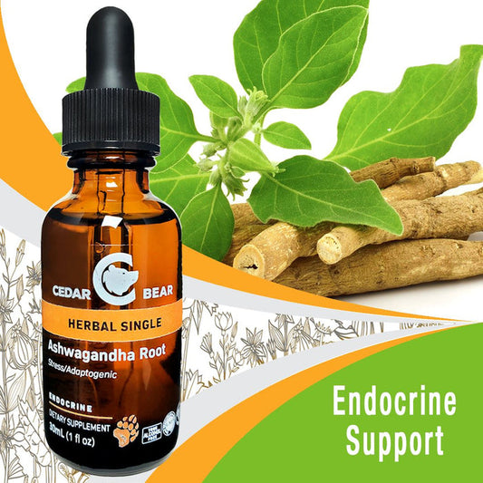 Ashwagandha Root - [variant_option1]