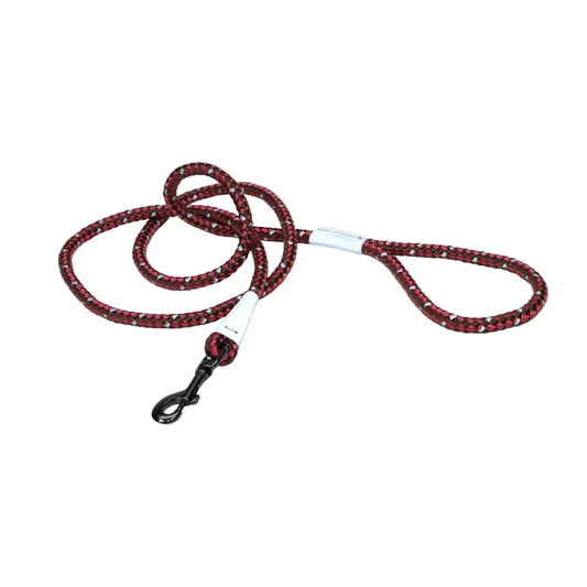 Coastal K9 Explorer Reflective Braided Rope Snap Dog Leash