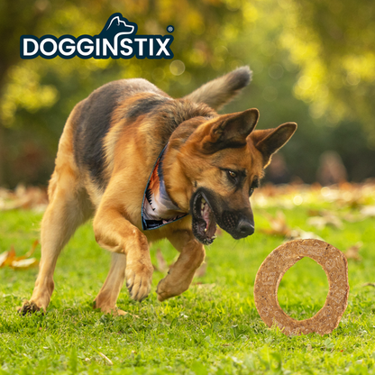 Dogginstix Lamb Collagen - Cosmic Donut Dog Treats