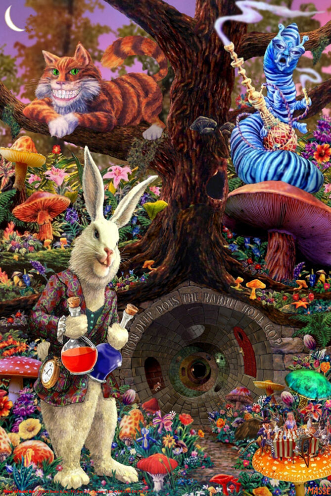 "Down The Rabbit Hole" (24X36) P5867