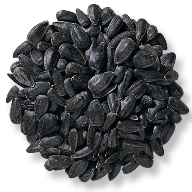 Nature's Window Black Oil Sunflower Wild Bird Seed