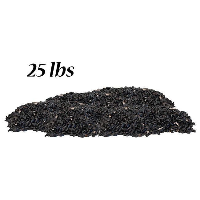 Nature's Window Black Oil Sunflower Wild Bird Seed