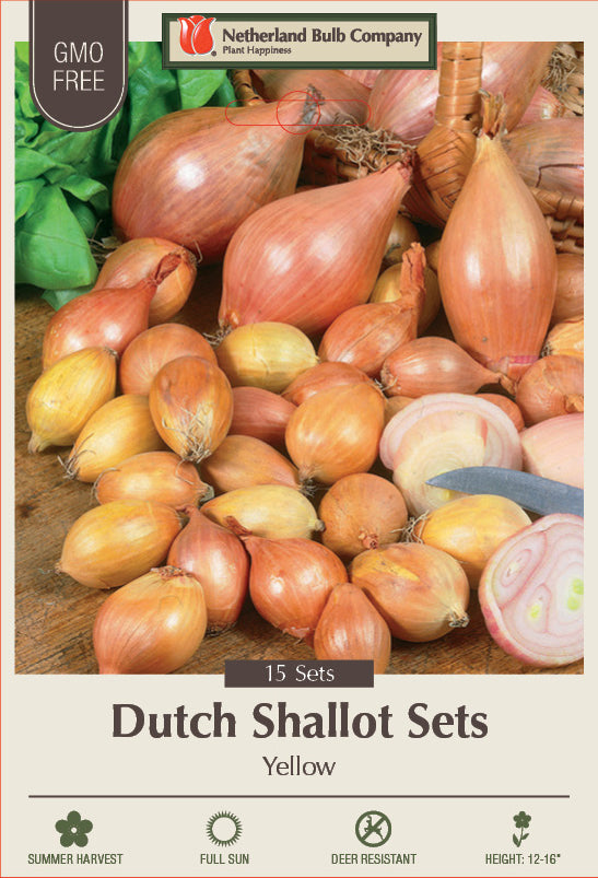 Netherland Bulb Company Dutch Shallot Sets