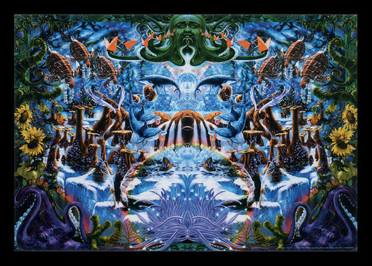 "Octopus Garden" (24X36) B405