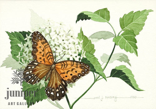 Reproduction -Fritillary on Hydrangea by Paul J Sweany