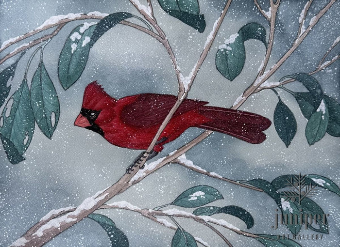 Red Bird Winter: Northern Cardinal Study by Jonathan Nash