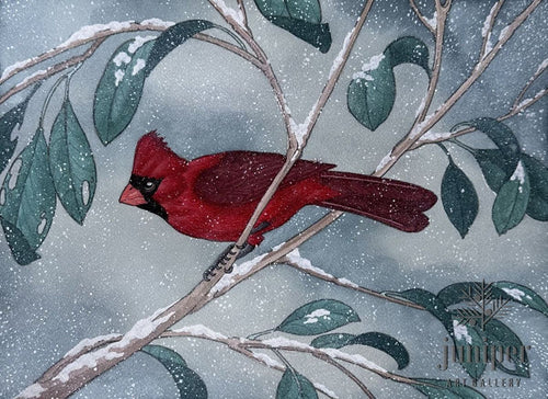 Red Bird Winter: Northern Cardinal Study by Jonathan Nash